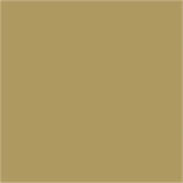 CPSANDST Marshalltown Color Pack - Sandstone product image