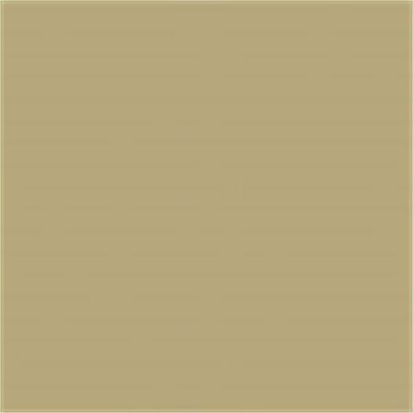 CPLANST Marshalltown Color Pack - Lanon Stone product image