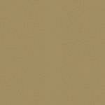 CPHWHEAT Marshalltown Color Pack - HARV WHEAT product image