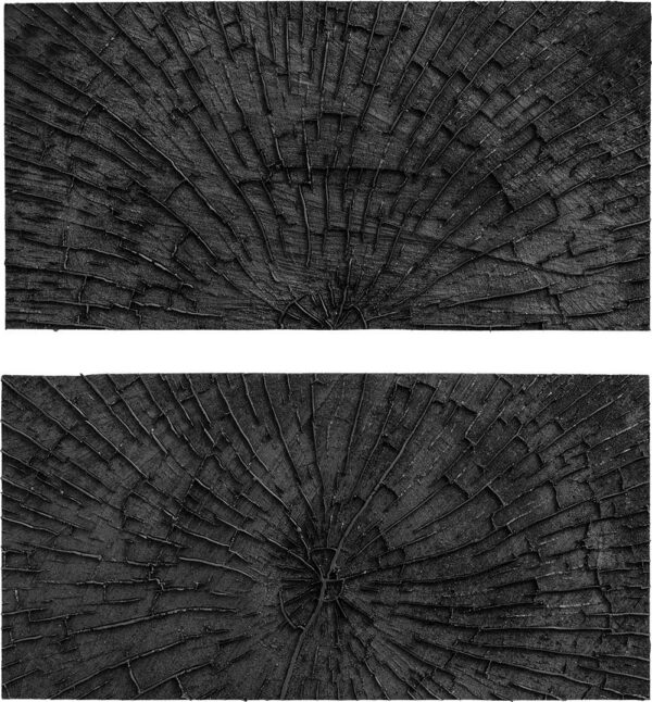 54e7a2ed242a85090cf490dd.jpg Timberskin Marshalltown Timber end grain skin - 8X16in set of 2 product image