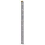 Werner D1316-2 16ft Type I Aluminum D-Rung Extension Ladder, 250 lb Load Capacity product image