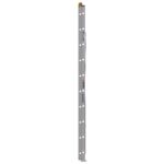 Werner D1320-2 20ft Type I Aluminum D-Rung Extension Ladder, 250 lb Load, 2-Section product image