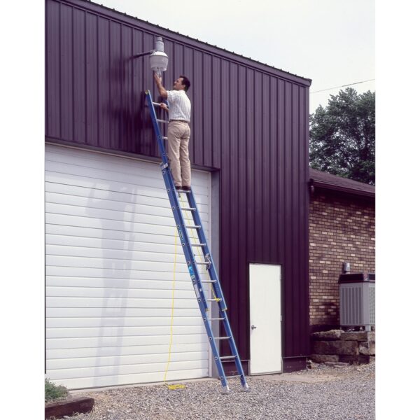 Werner D6020-2 20ft Type I Fiberglass D-Rung Extension Ladder, 250 lb Duty Rating product image
