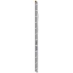 Werner D1324-2 24ft Type I Aluminum D-Rung Extension Ladder, 250 lb Duty Rating product image
