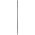 Werner D1332-2 32ft Type I Aluminum D-Rung Extension Ladder, 250 lb Duty Rating product image