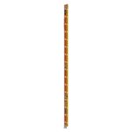 Werner T6236-2GS 36ft Type IA Fiberglass GLIDESAFE Tri-Rung Extension Ladder, 300 lb Duty Rating product image