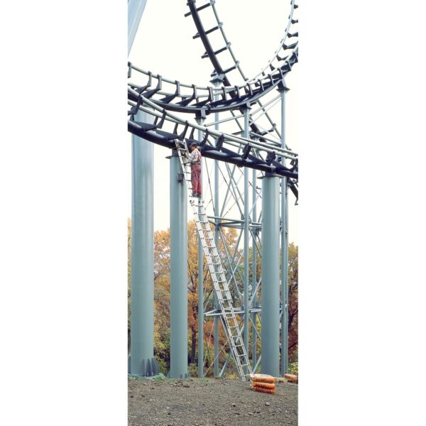 Werner D1540-2 40ft Type IA Aluminum D-Rung Extension Ladder, 300 lb Duty Rating product image