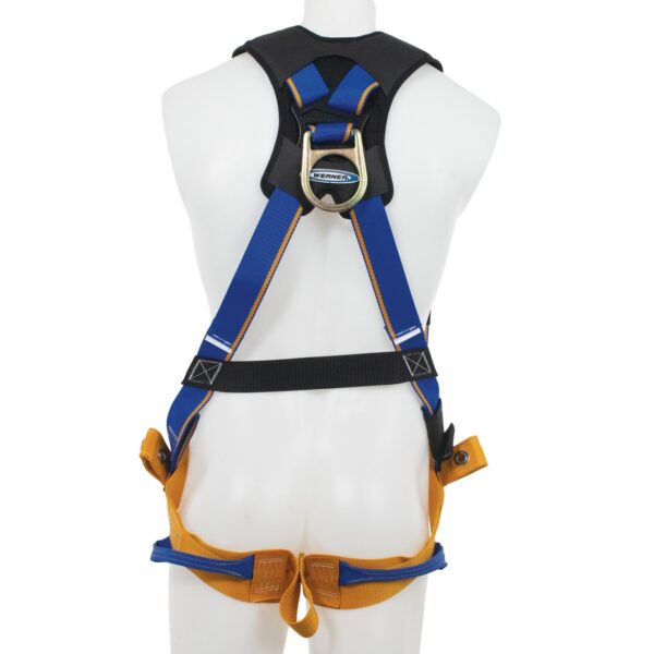 Werner H211002 Blue Armor Standard Harness, Back D-Ring, M/L product image
