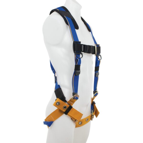 Werner H212002 Blue Armor Standard Harness with Back D-Ring, Size M-L product image