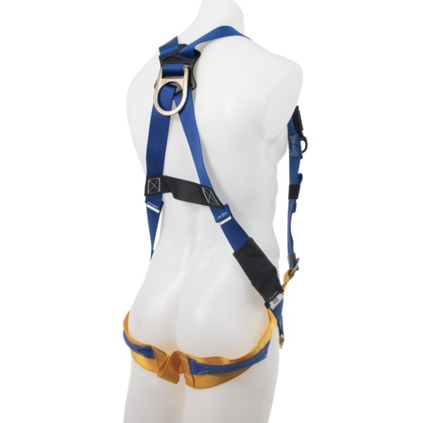 Werner H321002 LITEFIT Climbing Harness, 2 D-Rings, M/L, Black/Blue/Yellow product image